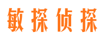 泰山市场调查